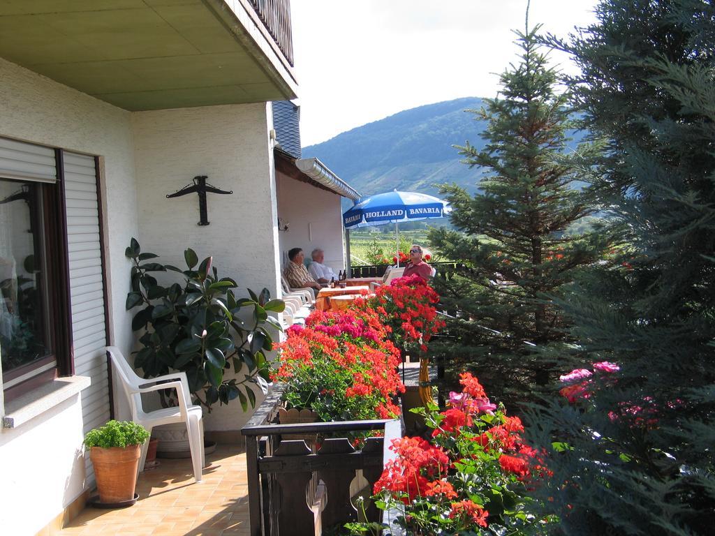 Pension Und Weingut Moselblick Brauneberg Esterno foto